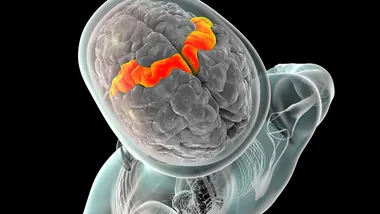 Зображення ZME Science