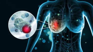 Зображення SciTechDaily