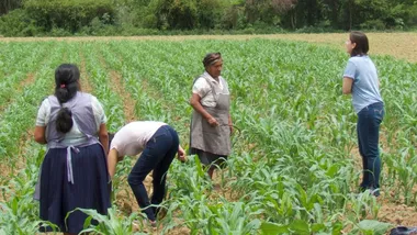 Зображення TS