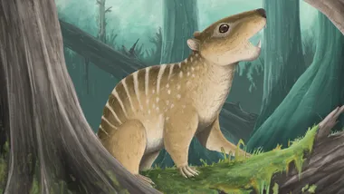 Зображення Sci.News