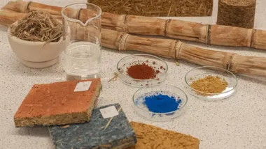 Зображення ZME Science