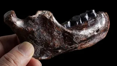 Зображення Chun-Hsiang Chang, Jay Chang