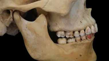 Зображення Science Alert