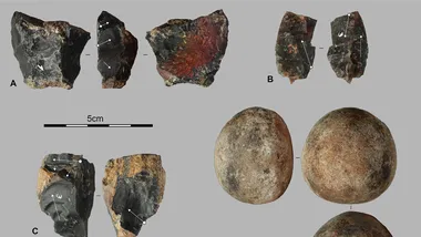 Зображення phys.org