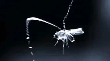 Зображення gizmodo.com