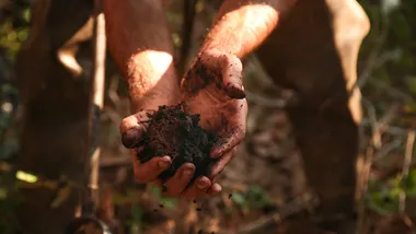 Зображення NYT