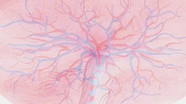 Зображення TS