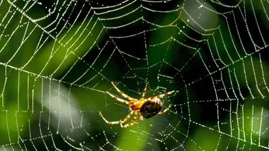 Зображення Freepik