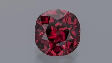 Зображення ZME Science