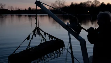 Зображення NYT