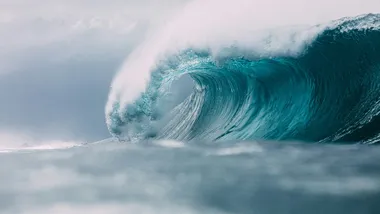 Фото Matt Paul Catalano