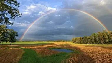 Зображення Watts Up With That？