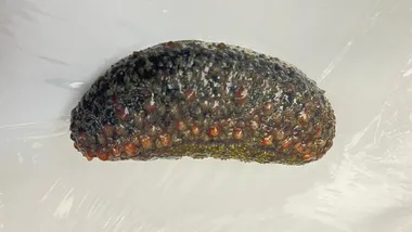 Зображення TS