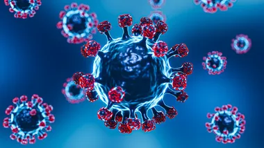 Ілюстративне зображення Freepik