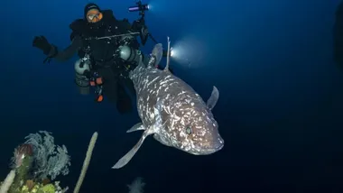 Зображення Sci.News