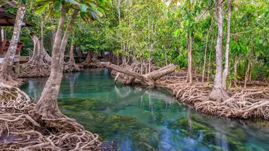 Ілюстративне зображення Freepik