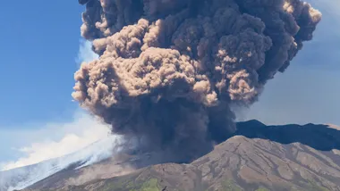 Зображення NYT