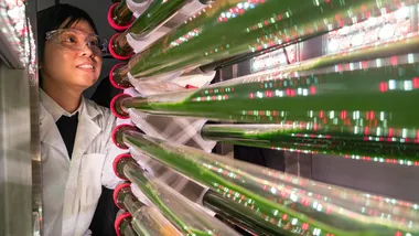 Зображення phys.org