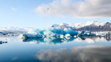 Фото Jeremy Bishop