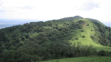 Зображення Global