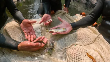 Зображення NYT