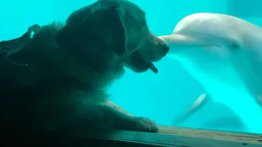 Зображення The Daily Galaxy