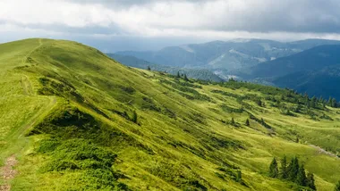 Зображення Freepik