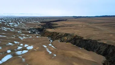 Зображення dailygalaxy.com