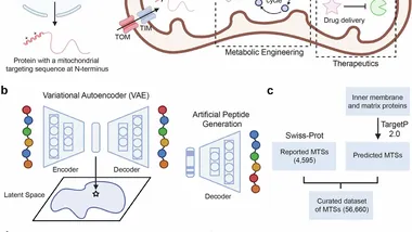 Зображення Phys