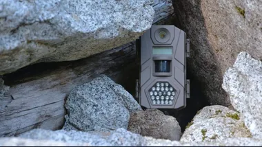 Зображення dailygalaxy.com