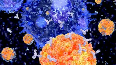 Зображення TS