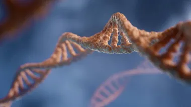 Зображення hoodline.com