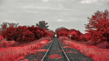 Фото Esteban Trivelli