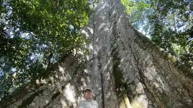 Зображення State of the Planet