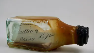 Зображення ZME Science