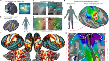 Зображення nature.com
