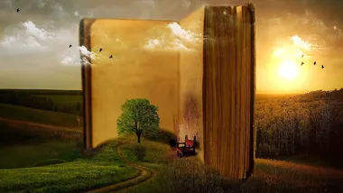 Зображення Phys