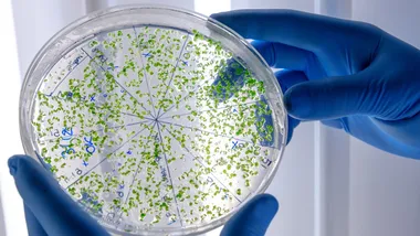 Ілюстративне зображення Freepik