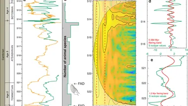 Зображення Phys