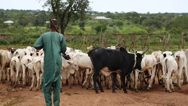 Зображення State of the Planet