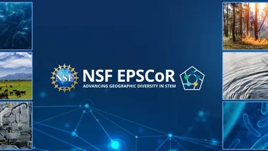 Зображення NSF