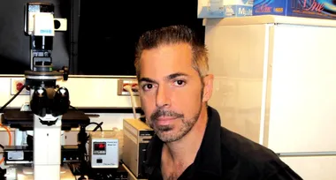 Смерті немає — це лише ілюзія, створена нашою свідомістю