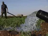 Марокко рятує сільське господарство опрісненням води через посуху