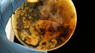 Фото Adrian Lange