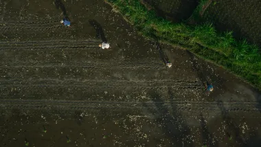 Зображення Phys