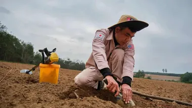 Зображення ZME Science