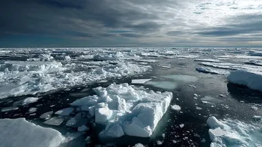 Зображення Watts Up With That？