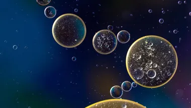 Зображення Phys