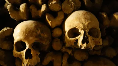 Ілюстративне зображення Freepik