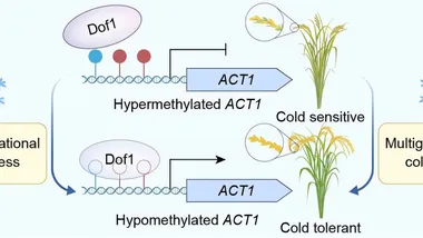 Зображення Phys